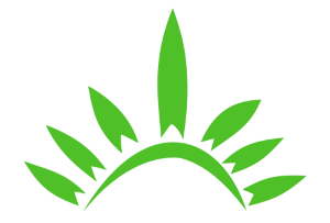 Logomarca Tupi